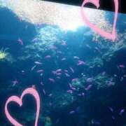 ヒメ日記 2025/08/12 21:55 投稿 菜々香（ななか） 熟女の風俗最終章 大宮店