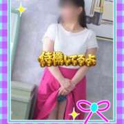 ヒメ日記 2026/09/14 16:50 投稿 りえ 奥様の実話 なんば店