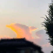 ヒメ日記 2025/09/19 19:34 投稿 さら 美熟女倶楽部Hip's 春日部店