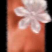 ヒメ日記 2026/03/15 19:12 投稿 さら 美熟女倶楽部Hip's 春日部店