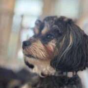 ヒメ日記 2025/07/25 20:22 投稿 そら 錦糸町ちゃんこ