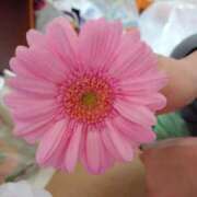 ヒメ日記 2025/10/12 07:50 投稿 ゆうこ 奥様特急新潟店