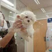 ヒメ日記 2025/10/13 16:10 投稿 ゆうこ 奥様特急新潟店