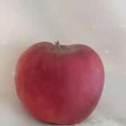 ヒメ日記 2025/10/19 08:20 投稿 ゆうこ 奥様特急新潟店