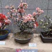 ヒメ日記 2026/01/29 08:20 投稿 ゆうこ 奥様特急新潟店