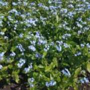 ヒメ日記 2026/03/03 06:20 投稿 ゆうこ 奥様特急新潟店