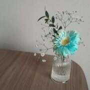 ヒメ日記 2026/03/08 06:52 投稿 ゆうこ 奥様特急三条店