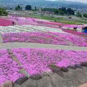 ヒメ日記 2026/04/03 08:12 投稿 ゆうこ 奥様特急三条店