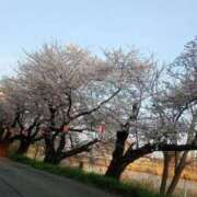 ヒメ日記 2026/04/04 08:22 投稿 ゆうこ 奥様特急三条店