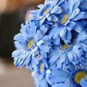 ヒメ日記 2026/04/06 07:52 投稿 ゆうこ 奥様特急三条店