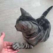 ヒメ日記 2025/08/07 10:39 投稿 あん　濃厚ワイフ溺愛痴女 よかろうもん下関本店