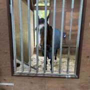 ヒメ日記 2025/09/28 08:59 投稿 あん　濃厚ワイフ溺愛痴女 よかろうもん下関本店