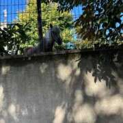 ヒメ日記 2025/09/29 09:29 投稿 あん　濃厚ワイフ溺愛痴女 よかろうもん下関本店