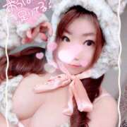 なのは 猫なのか熊なのか 成田人妻花壇