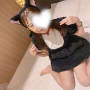 ヒメ日記 2025/10/16 16:00 投稿 なつほ 恋するバニー