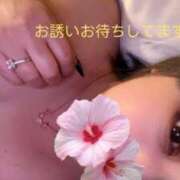 ヒメ日記 2026/02/11 02:58 投稿 あんり 丸妻 町田店