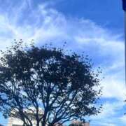 ヒメ日記 2026/10/16 15:08 投稿 あんり 丸妻 町田店
