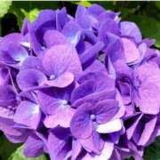 ヒメ日記 2025/06/27 14:49 投稿 香田 鶯谷デッドボール