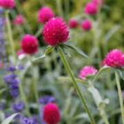 ヒメ日記 2025/07/13 09:09 投稿 香田 鶯谷デッドボール