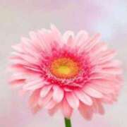 ヒメ日記 2025/07/18 09:39 投稿 香田 鶯谷デッドボール