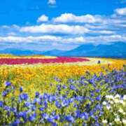 ヒメ日記 2025/07/19 11:39 投稿 香田 鶯谷デッドボール