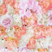 ヒメ日記 2025/07/22 10:49 投稿 香田 鶯谷デッドボール