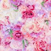 ヒメ日記 2025/07/29 09:09 投稿 香田 鶯谷デッドボール