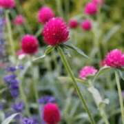 ヒメ日記 2025/07/30 10:51 投稿 香田 鶯谷デッドボール