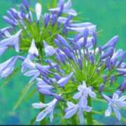 ヒメ日記 2025/07/31 10:29 投稿 香田 鶯谷デッドボール