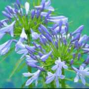 ヒメ日記 2025/08/06 19:09 投稿 香田 鶯谷デッドボール