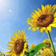 ヒメ日記 2025/08/17 19:59 投稿 香田 鶯谷デッドボール