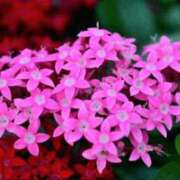 ヒメ日記 2025/08/18 09:39 投稿 香田 鶯谷デッドボール