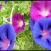 ヒメ日記 2025/08/21 16:59 投稿 香田 鶯谷デッドボール