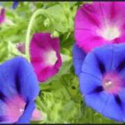 ヒメ日記 2025/08/26 17:59 投稿 香田 鶯谷デッドボール