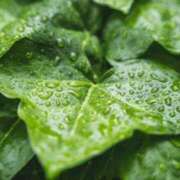 ヒメ日記 2025/09/13 07:59 投稿 香田 鶯谷デッドボール