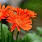 ヒメ日記 2025/09/20 09:55 投稿 香田 鶯谷デッドボール