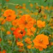 ヒメ日記 2025/09/21 16:51 投稿 香田 鶯谷デッドボール