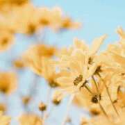 ヒメ日記 2025/09/24 20:39 投稿 香田 鶯谷デッドボール