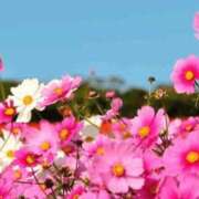 ヒメ日記 2025/09/25 13:06 投稿 香田 鶯谷デッドボール