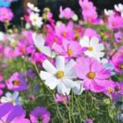 ヒメ日記 2025/10/02 23:09 投稿 香田 鶯谷デッドボール