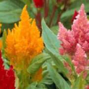 ヒメ日記 2025/10/07 21:39 投稿 香田 鶯谷デッドボール