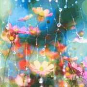 ヒメ日記 2025/10/22 16:39 投稿 香田 鶯谷デッドボール