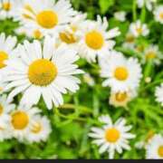 ヒメ日記 2025/10/31 11:49 投稿 香田 鶯谷デッドボール