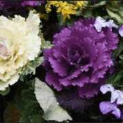 ヒメ日記 2025/11/08 08:09 投稿 香田 鶯谷デッドボール