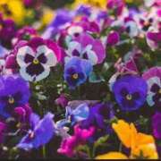 ヒメ日記 2025/11/11 13:09 投稿 香田 鶯谷デッドボール