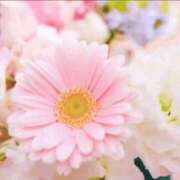 ヒメ日記 2025/11/12 10:49 投稿 香田 鶯谷デッドボール