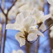 ヒメ日記 2025/11/15 11:42 投稿 香田 鶯谷デッドボール