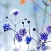 ヒメ日記 2025/11/20 11:19 投稿 香田 鶯谷デッドボール