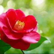 ヒメ日記 2025/12/02 10:19 投稿 香田 鶯谷デッドボール