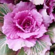 香田 おはようございます 鶯谷デッドボール